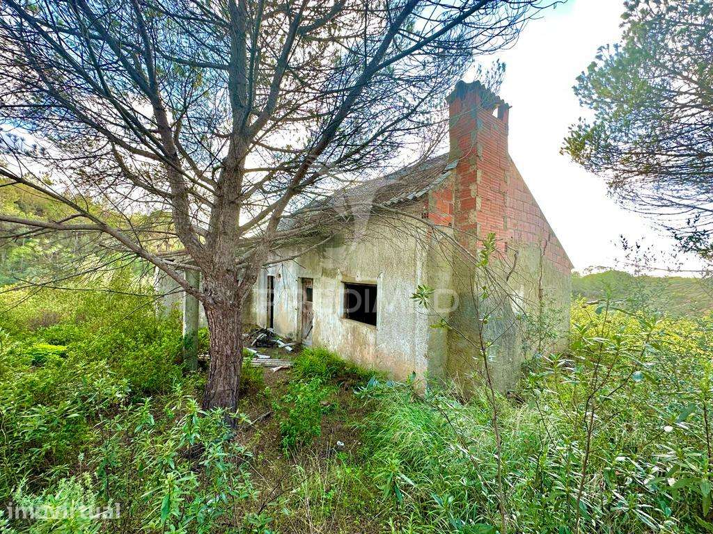 Herdade em Melides, vista mar - Grande imagem: 5/21