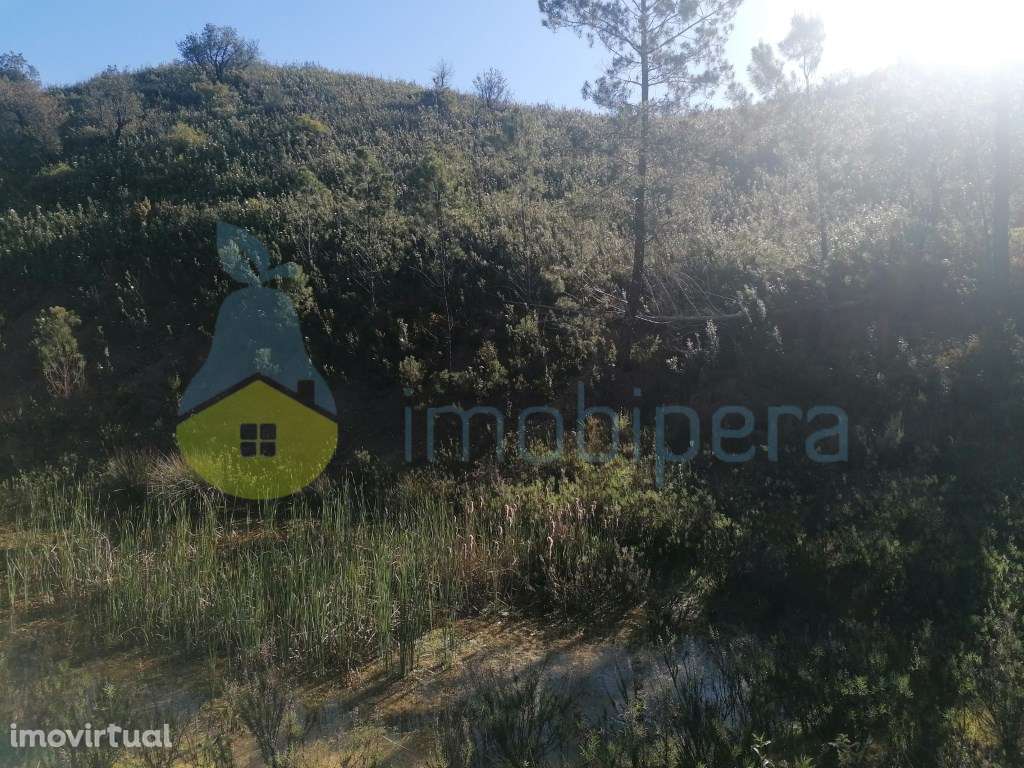 TERRENO RÚSTICO DE 23.970 m² EM MEXILHOEIRA GRANDE - Grande imagem: 3/4