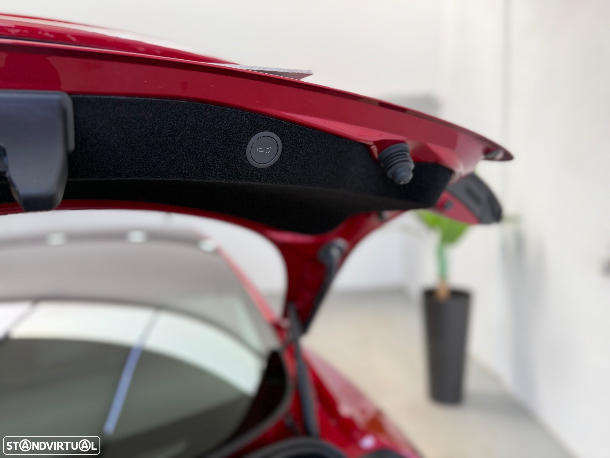 Tesla Model 3 Long Range AWD Dual Motor - 25