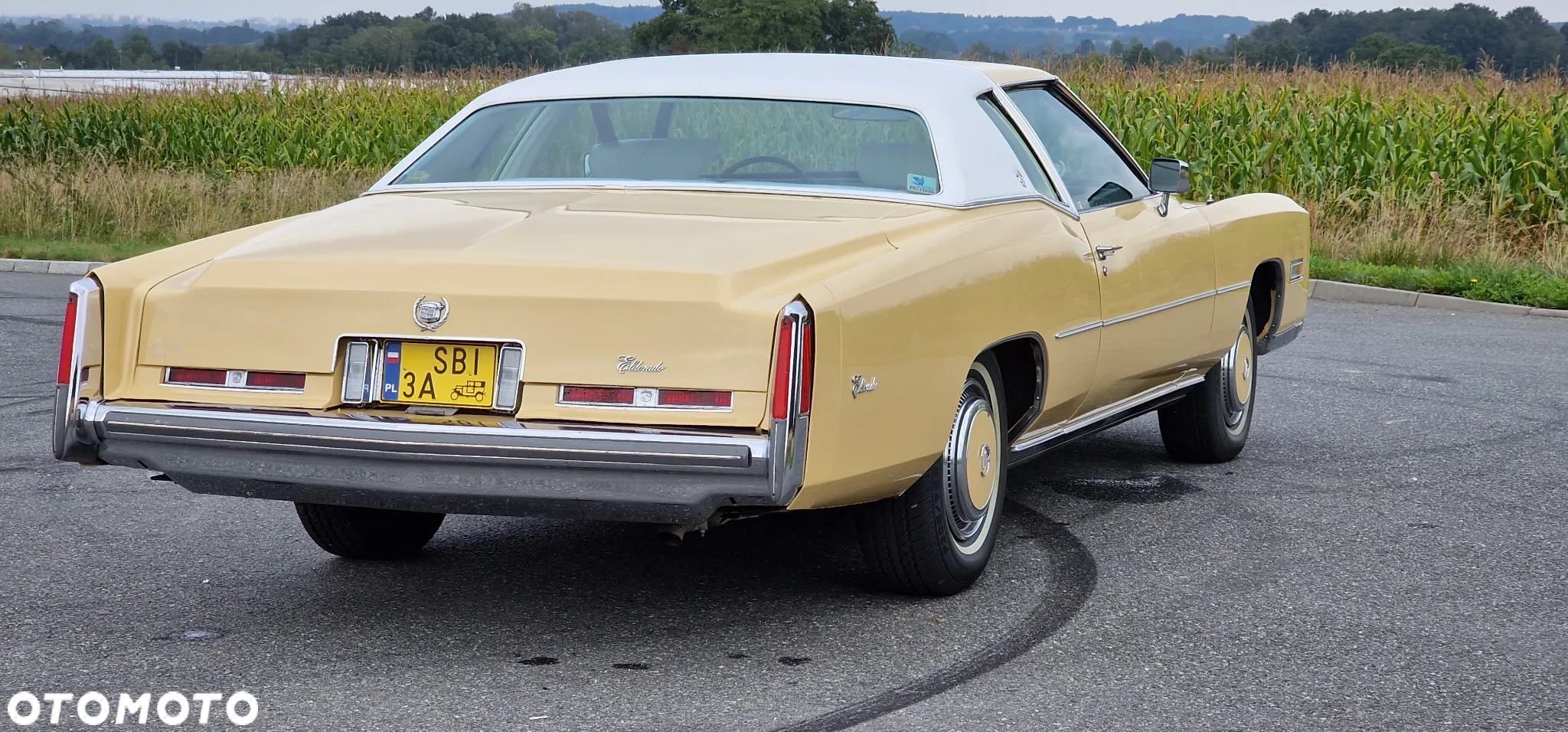 Cadillac Eldorado - 5