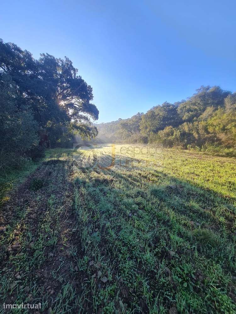 MARAVILHOSO TERRENO RÚSTICO PARA VENDA COM 41.600 M2 !! - Grande imagem: 5/26