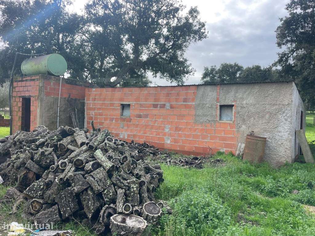 Propriedade Rústica com 11 Hectares junto a Canhestros - Grande imagem: 3/35