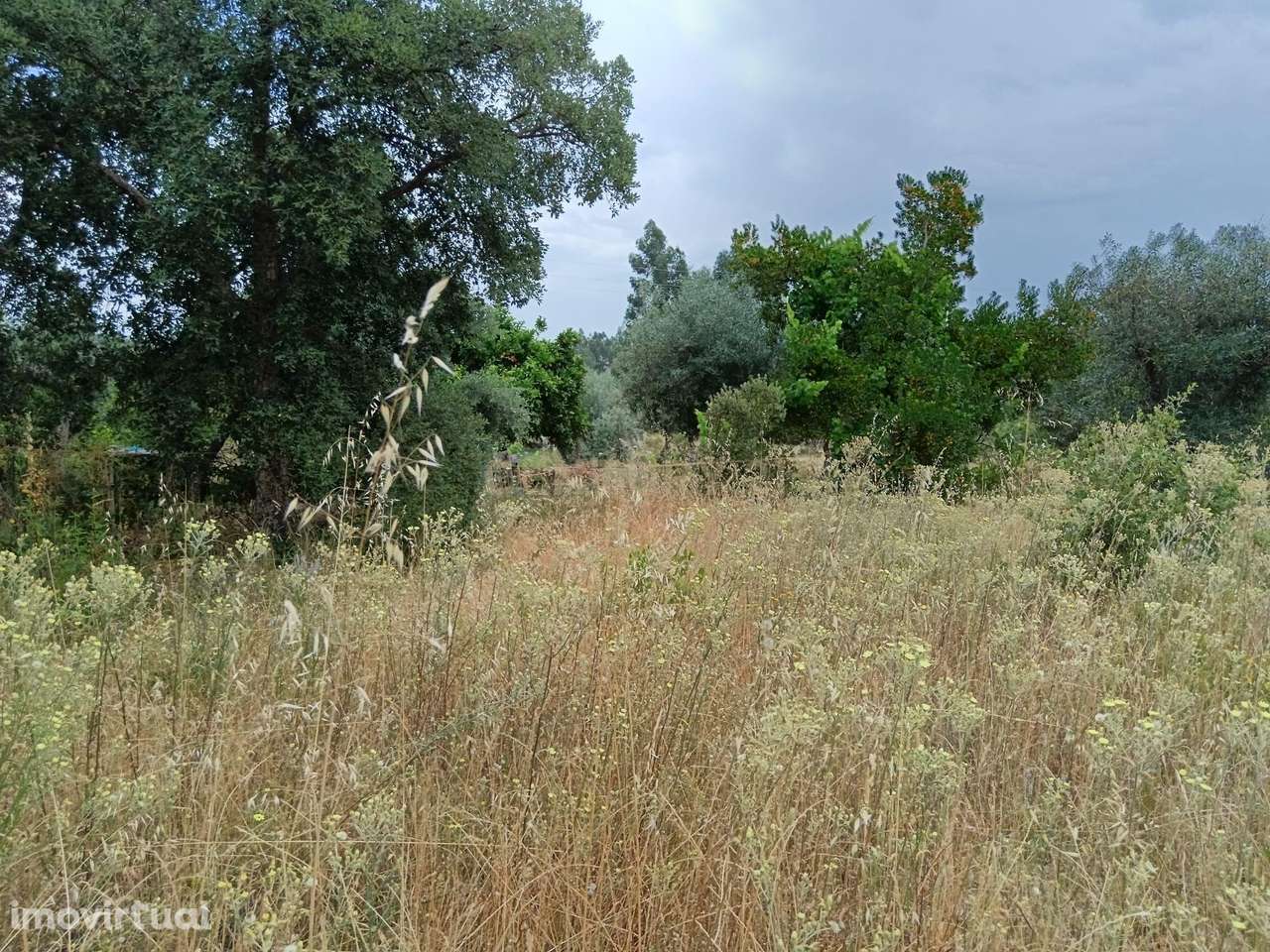 Terreno Rústico, 840m2, Palvarinho - Grande imagem: 3/7