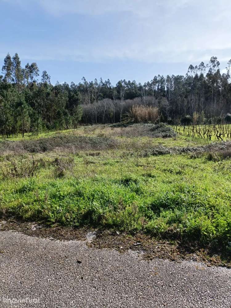 Terreno à Venda - 1900m² - Grande imagem: 4/5