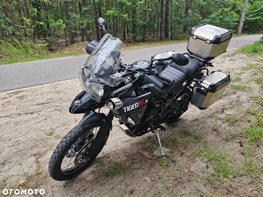 Triumph Tiger - 8
