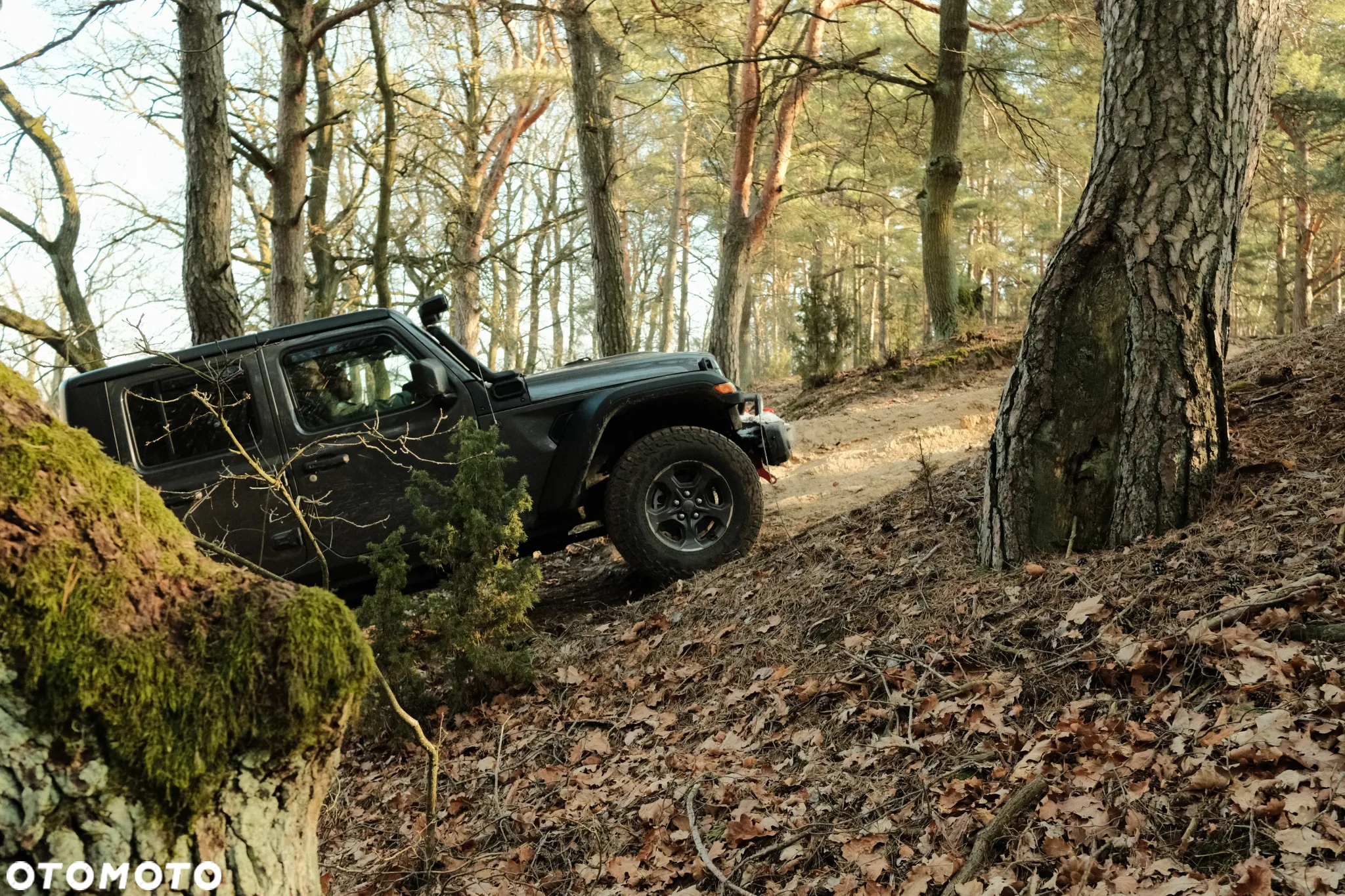 Jeep Gladiator - 3