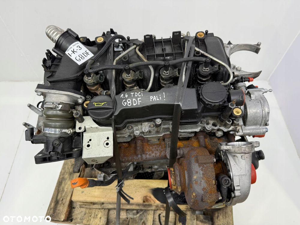 SILNIK G8DF Ford Focus II MK2 C-Max C Max 1.6 TDCI 109KM diesel kompletny - 3