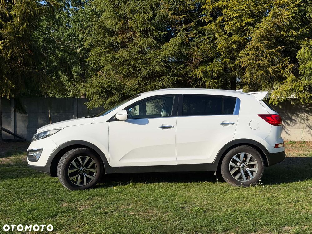 Kia Sportage - 6