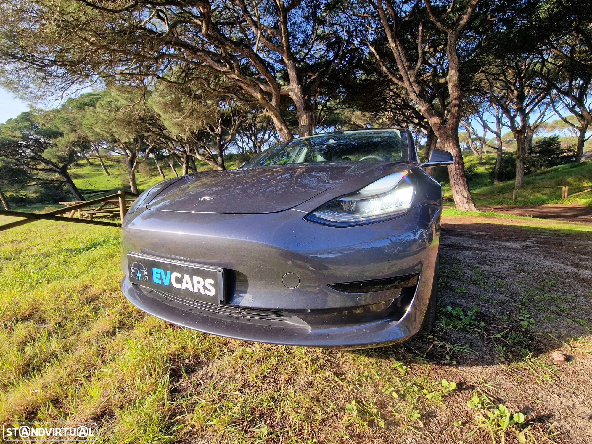 Tesla Model 3 Standard Range Plus RWD - 27