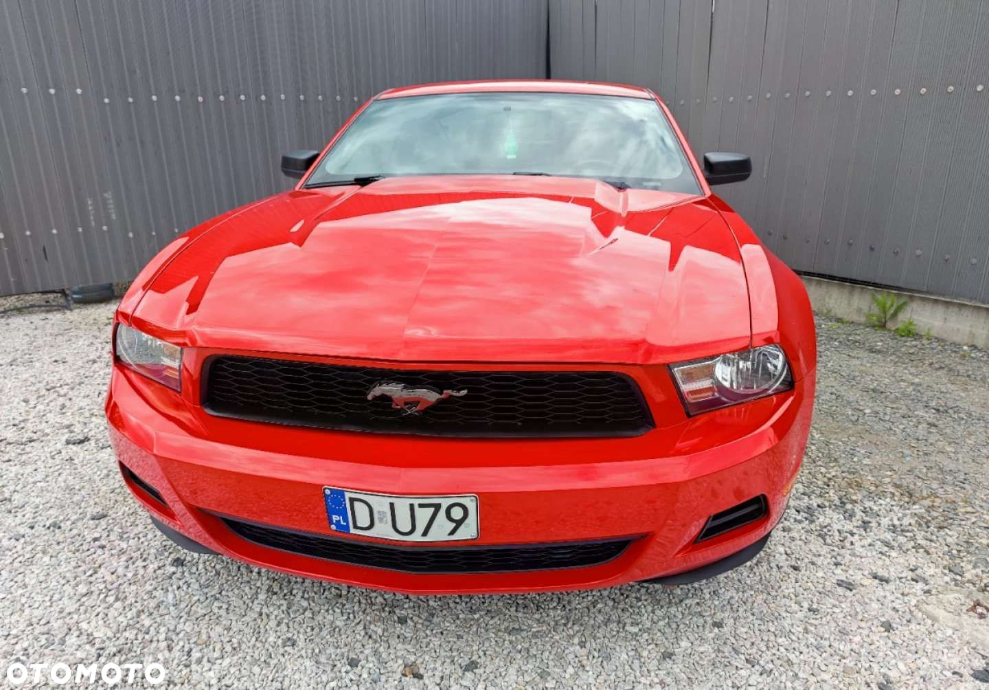 Ford Mustang - 8