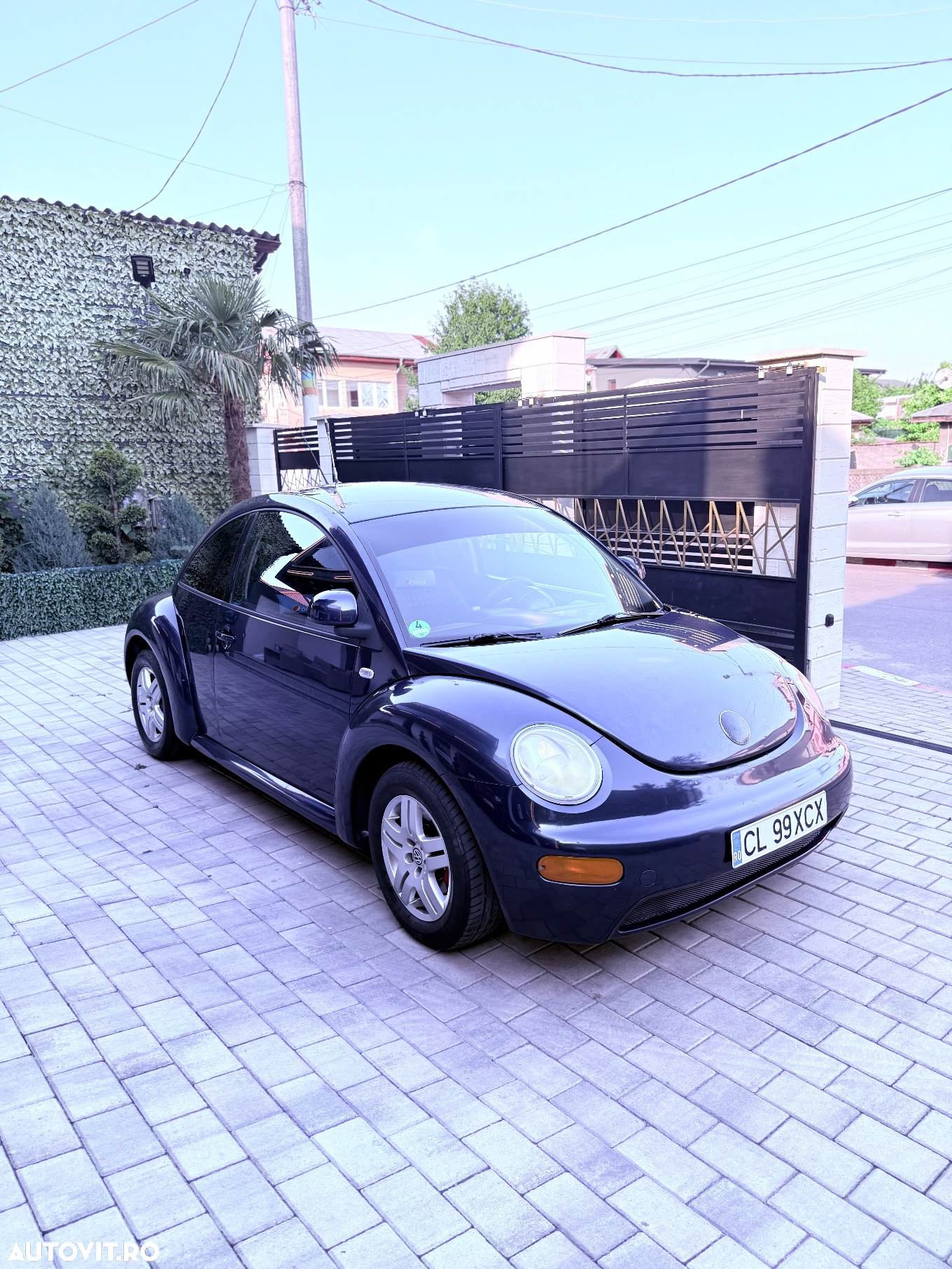 Volkswagen Beetle - 2