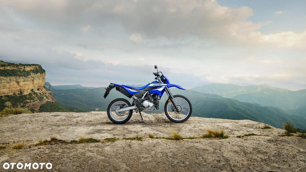 Yamaha WR - 25