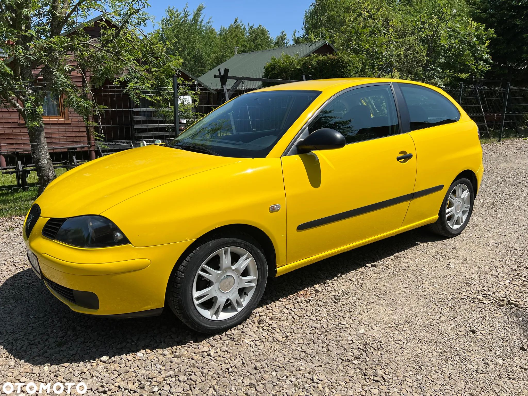 Seat Ibiza - 1