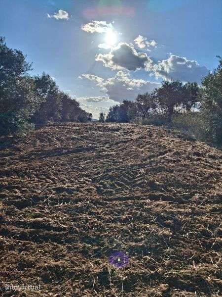 Terreno Agrícola em São Pedro do Corval - Grande imagem: 5/6