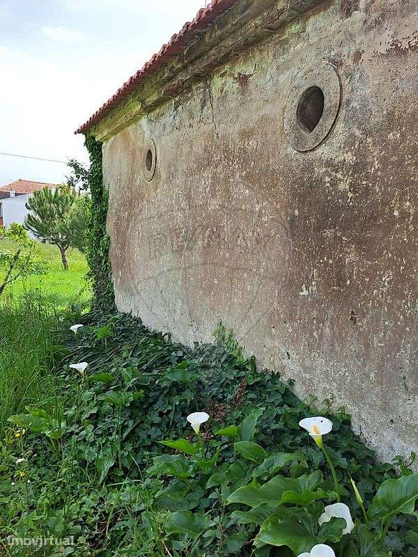 Armazém  para venda - Grande imagem: 5/17