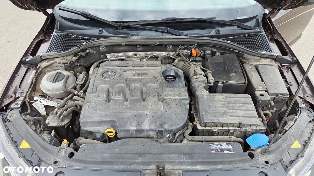 Skoda Octavia 2.0 TDI Edition - 16