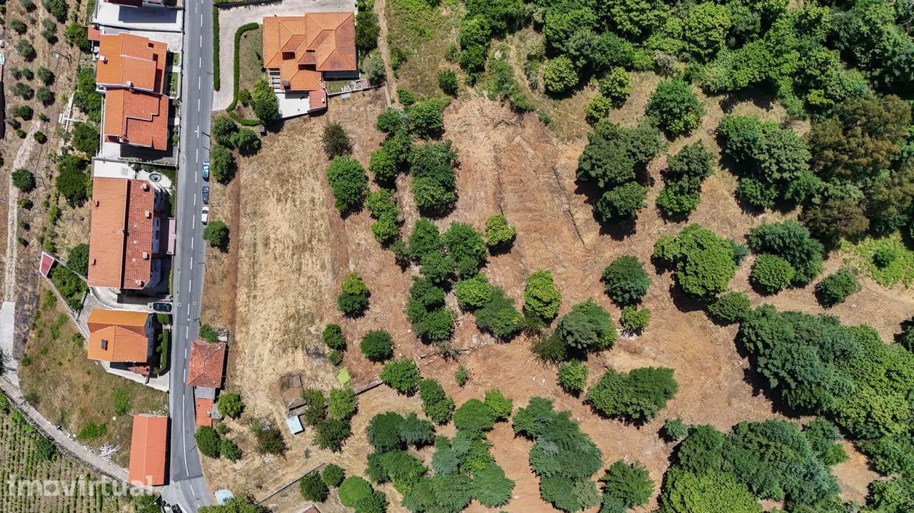 Quinta 7.438 m² em Lamego, Moradia em Pedra, Investimento de Futuro - Grande imagem: 2/25