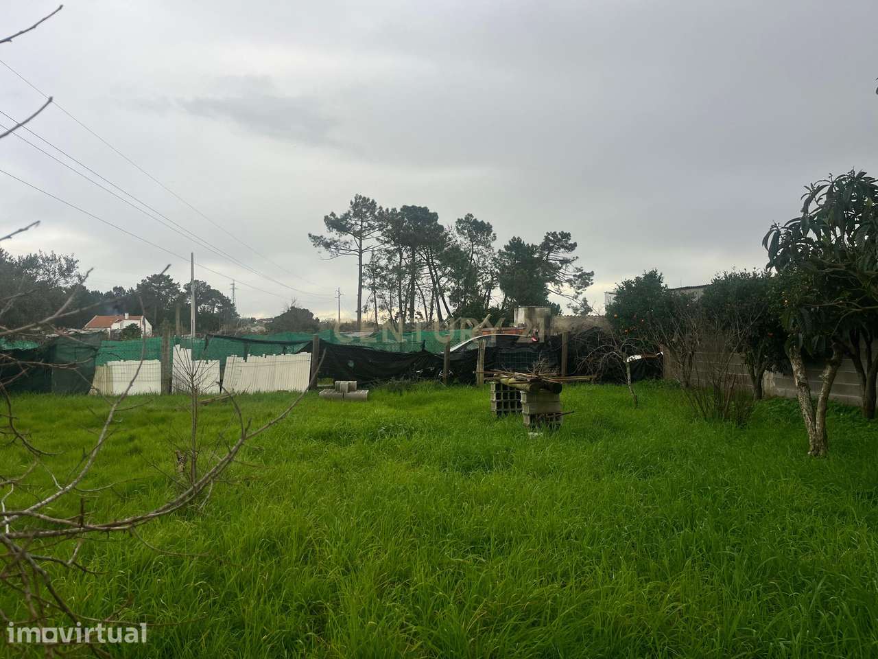 Terreno Rústico – Parcela de 1.200 m² em Pinhal das Formas - Quinta do - Grande imagem: 4/8