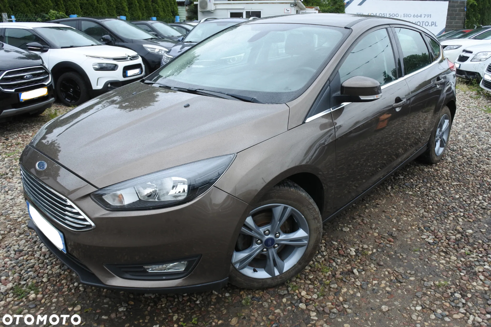 Ford Focus 1.0 EcoBoost Platinium X ASS - 2