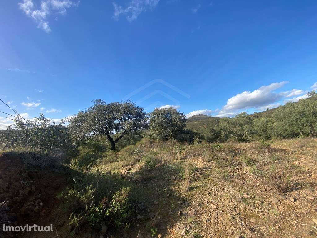 Terreno urbano localizado no Almarjão, Loulé, Algarve - Grande imagem: 3/21