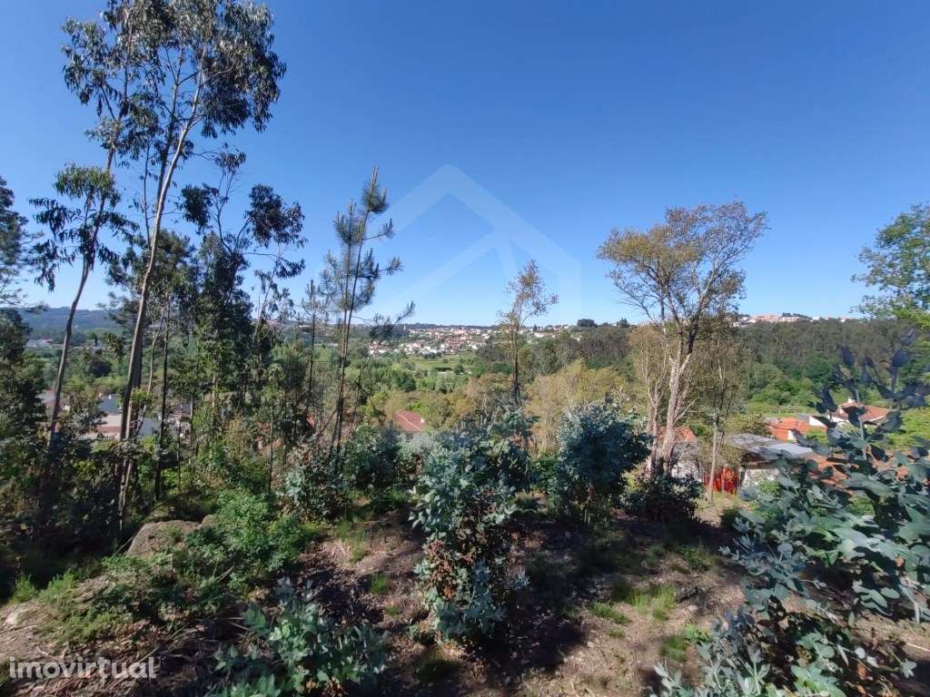 Terreno Urbano em Sanguedo, Santa Maria da Feira - Grande imagem: 2/4