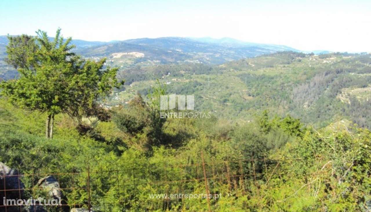 Venda Terreno, Cinfães - Grande imagem: 2/12