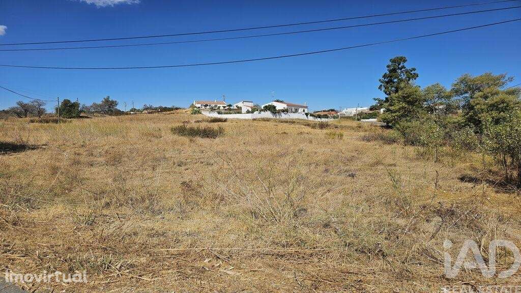 Terreno Agrícola em Alcoutim e Pereiro - Grande imagem: 3/13
