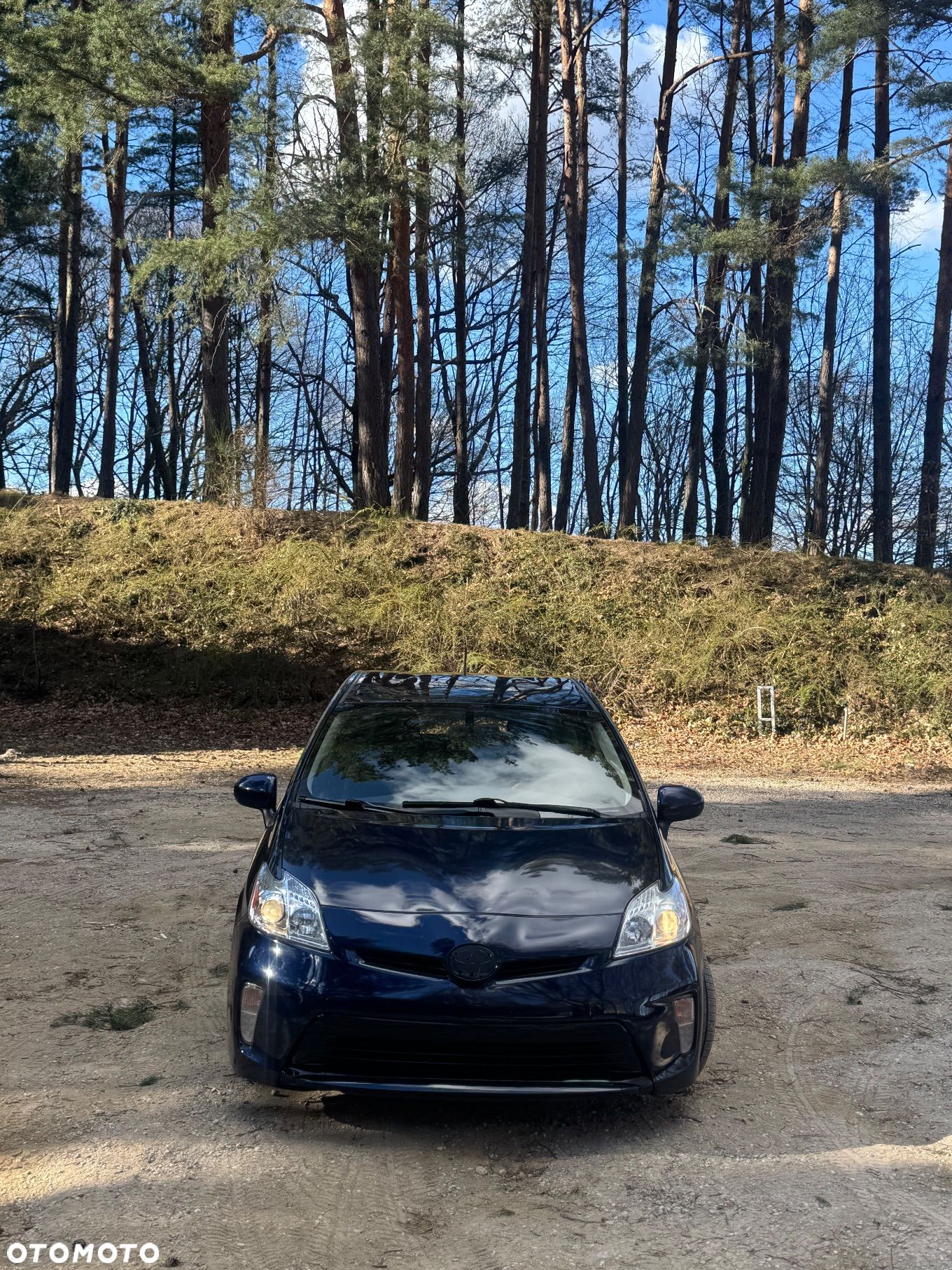 Toyota Prius 1.8 Hybrid Premium - 1