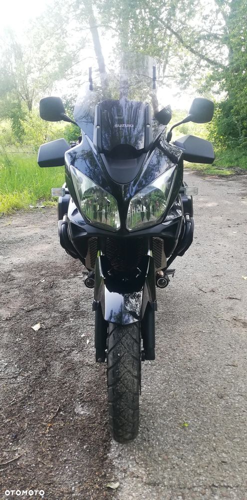 Suzuki DL - 8