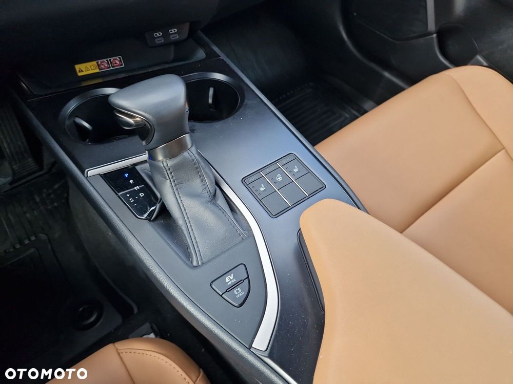 Lexus UX 250h GPF F Sport 2WD - 17