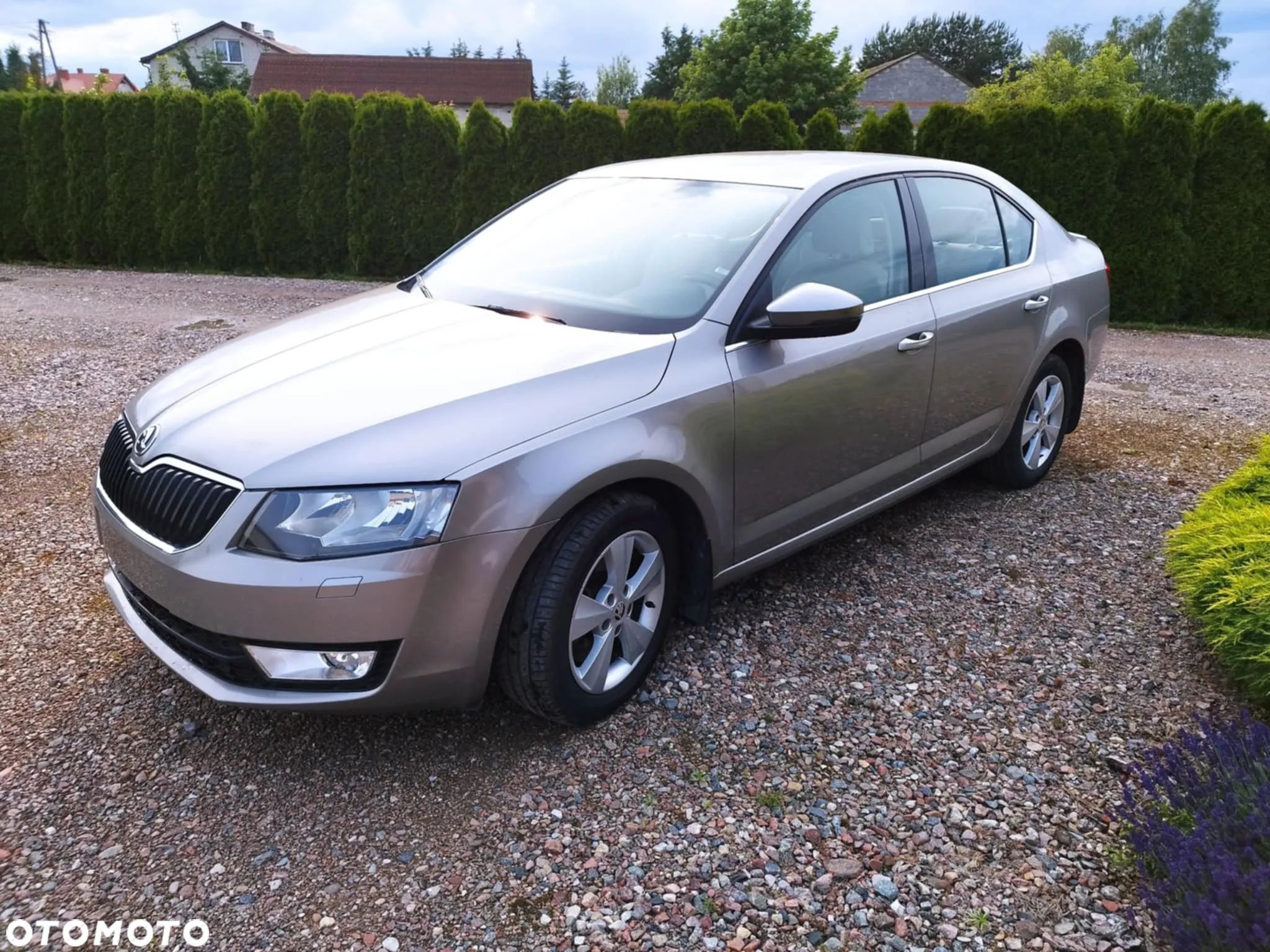 Skoda Octavia 1.8 TSI DSG Ambition - 1