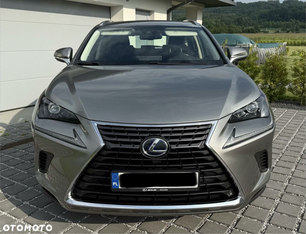 Lexus NX 350h Business AWD - 10