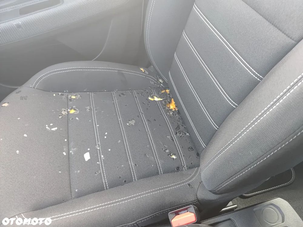 Dacia Sandero 1.0 TCe Expression CVT - 18