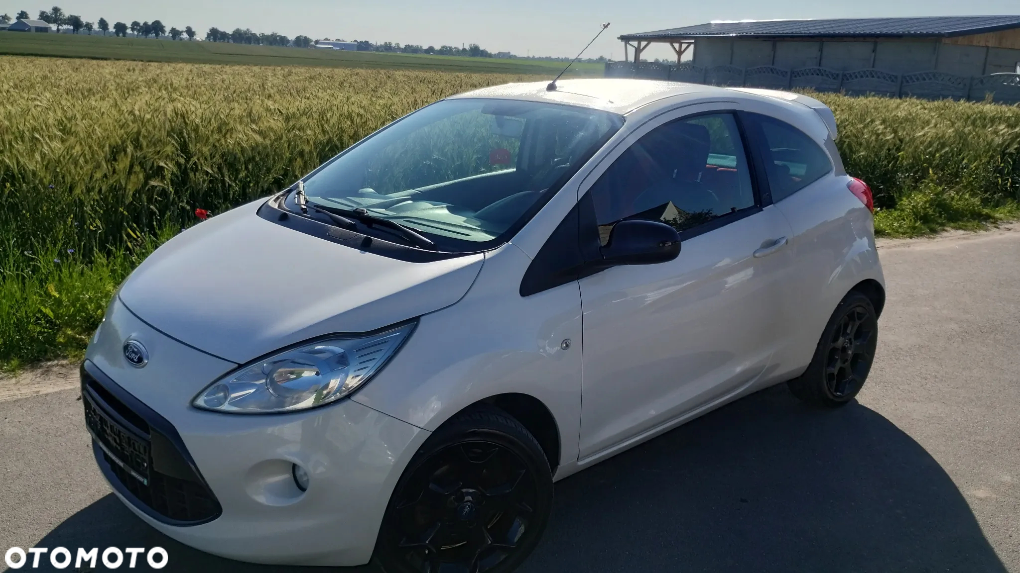 Ford KA 1.2 Start-Stopp-System Champions Edition - 25