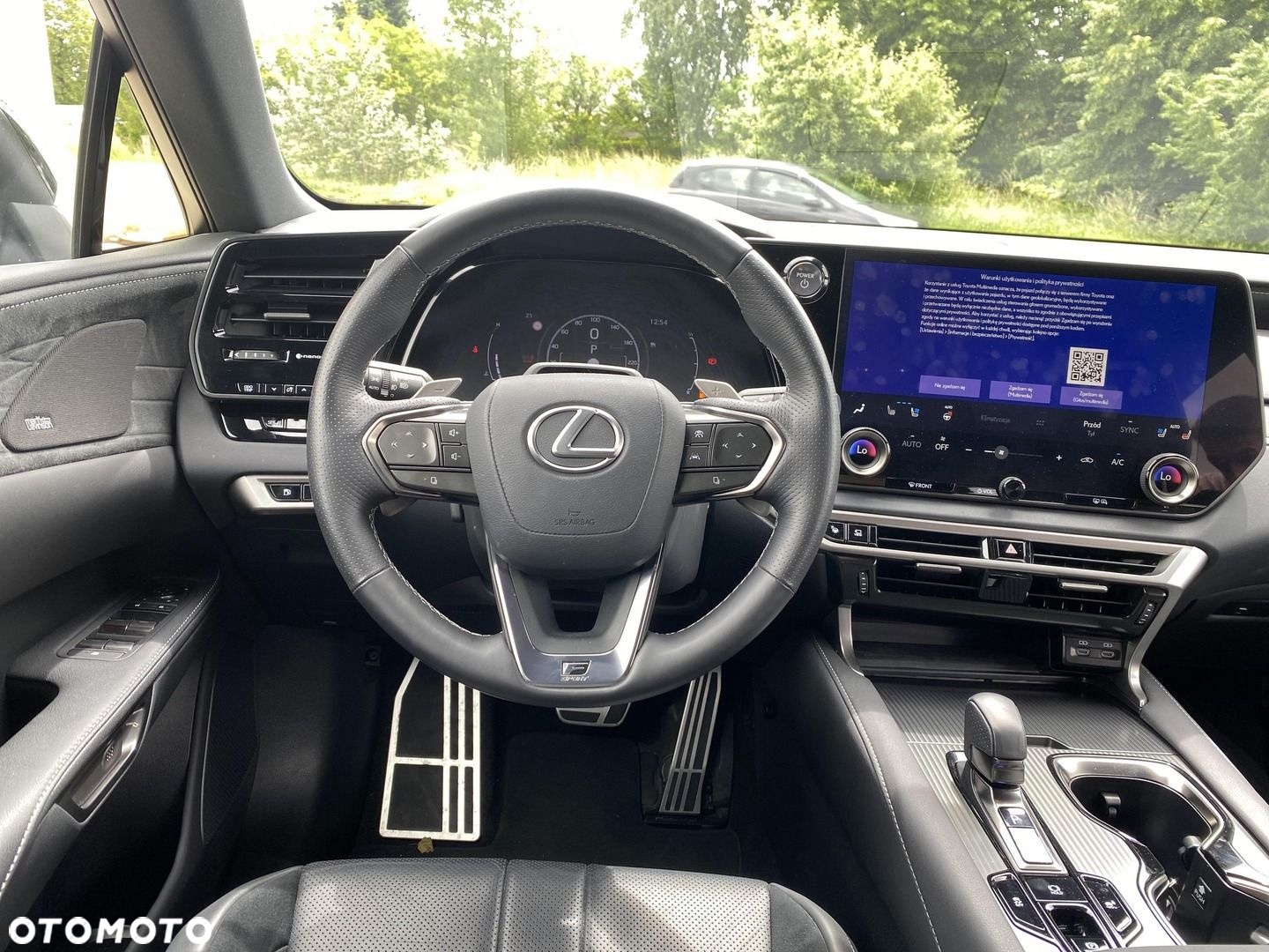 Lexus RX - 17