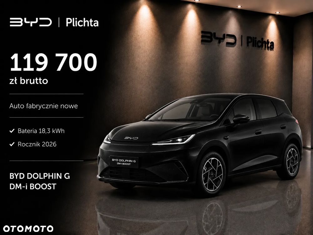 BYD Dolphin G - 1
