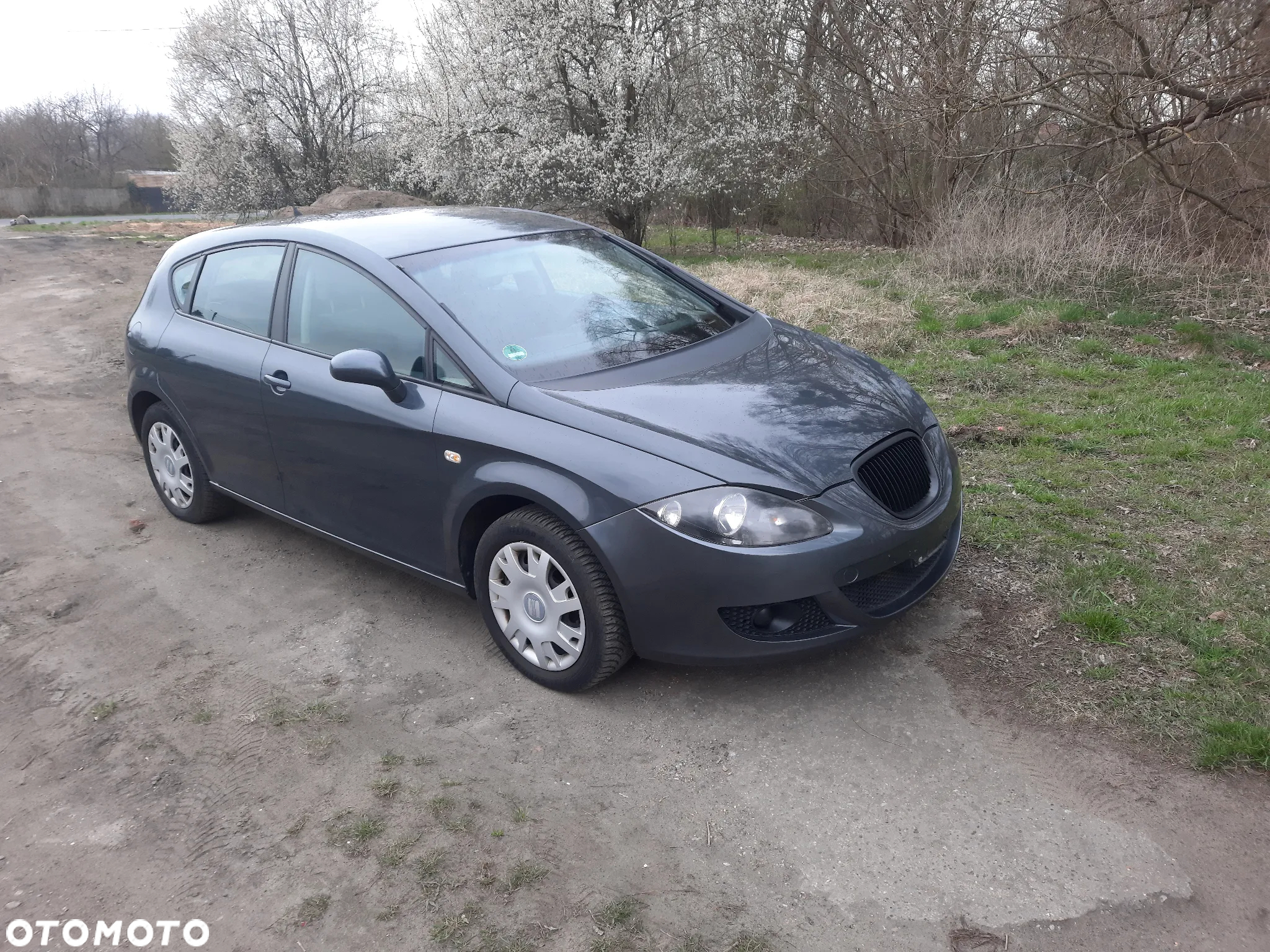 Seat Leon - 8