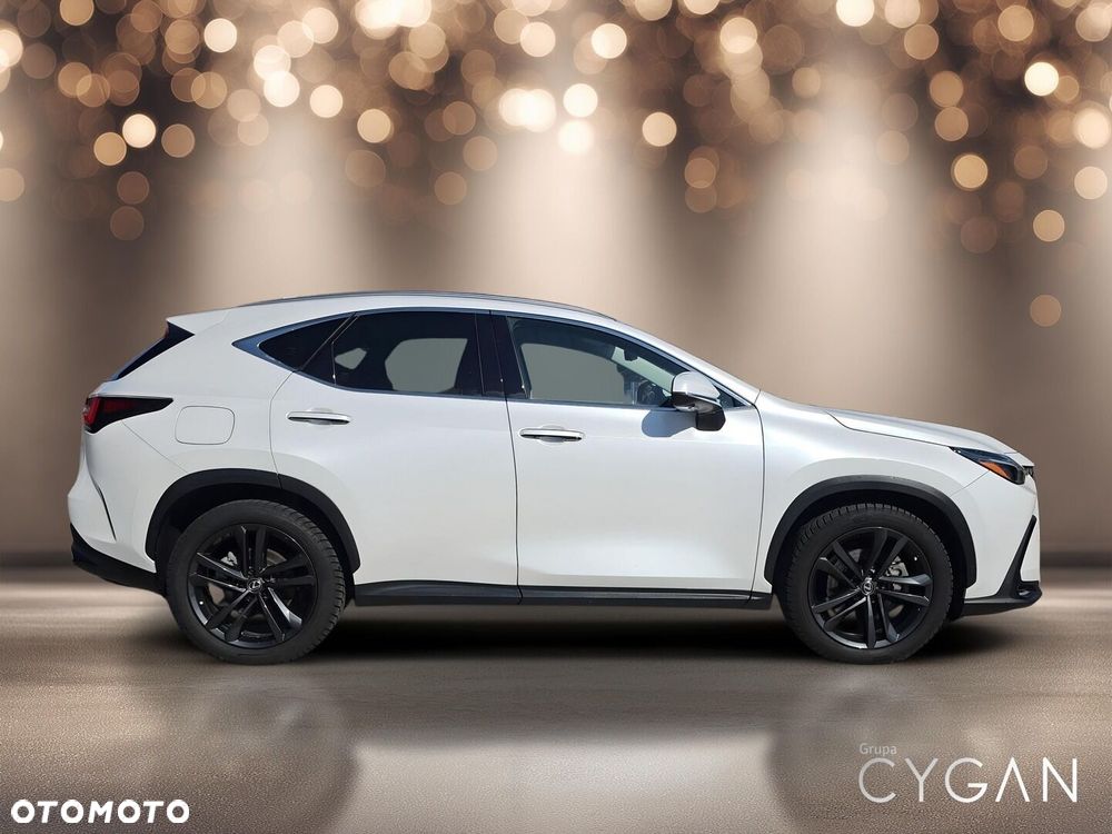 Lexus NX - 8
