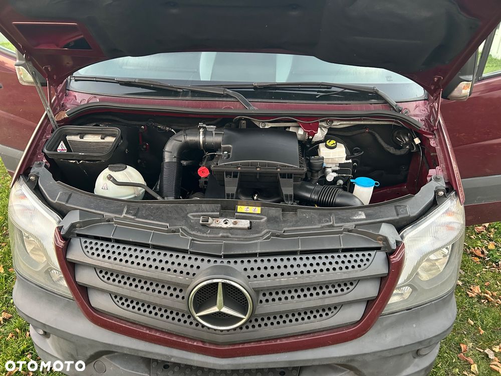 Mercedes-Benz Sprinter - 7
