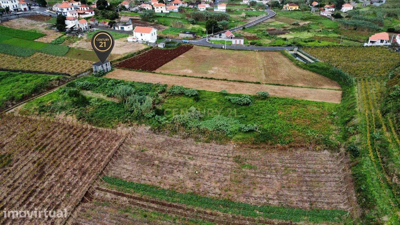 Terreno em Lamaceiros – Pomar, Porto Moniz - Grande imagem: 3/6