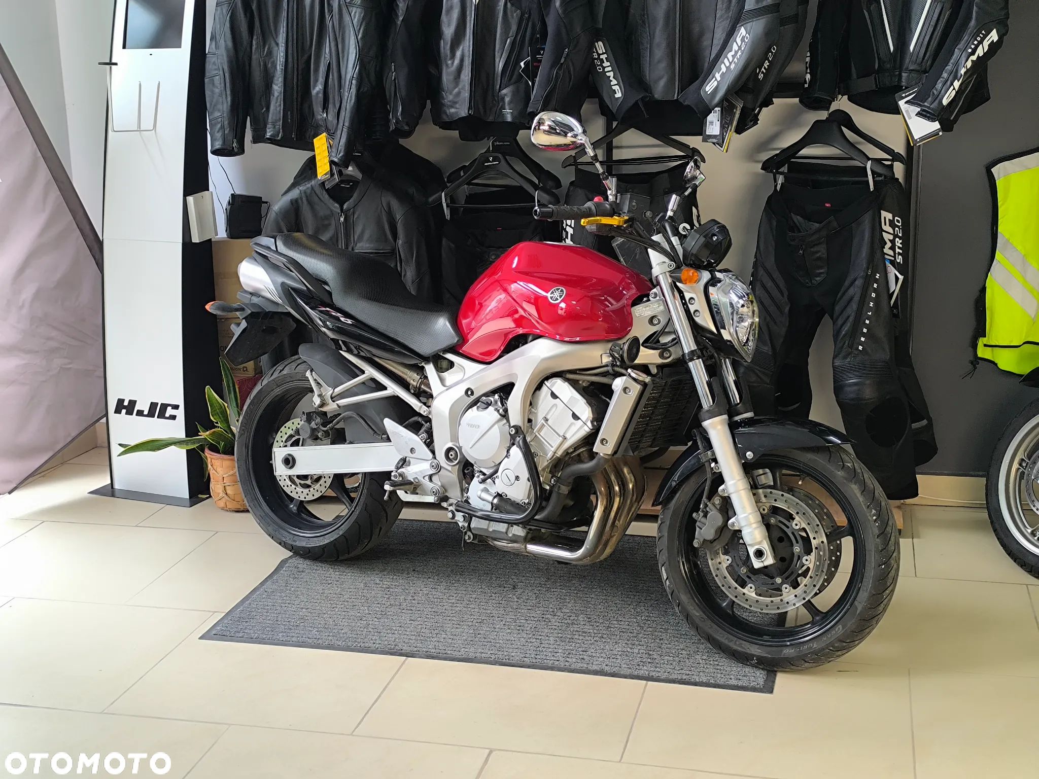 Yamaha FZ6 - 1
