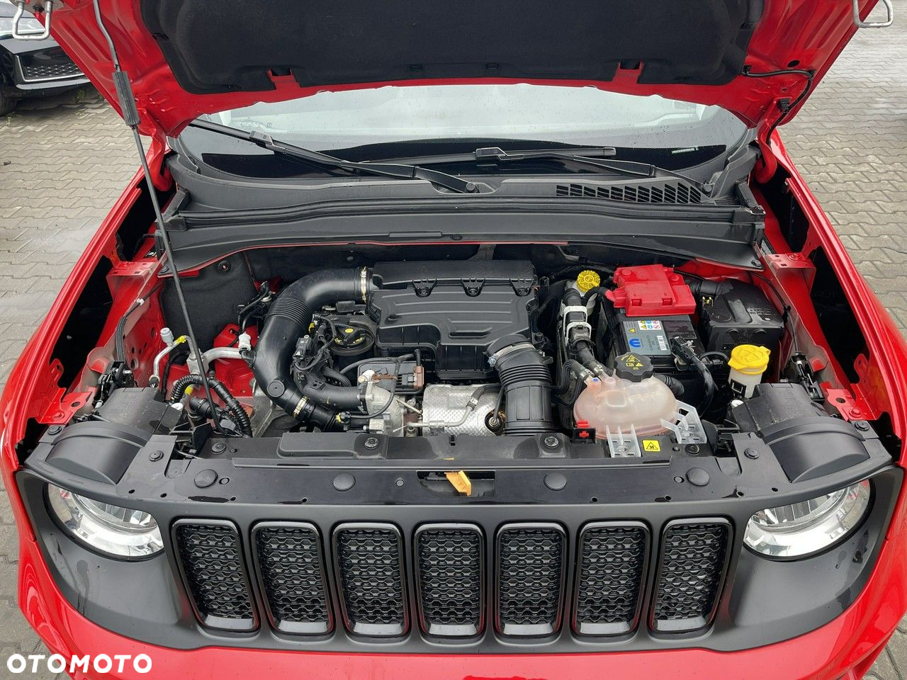 Jeep Renegade 1.0 T-GDI Night Eagle - 11
