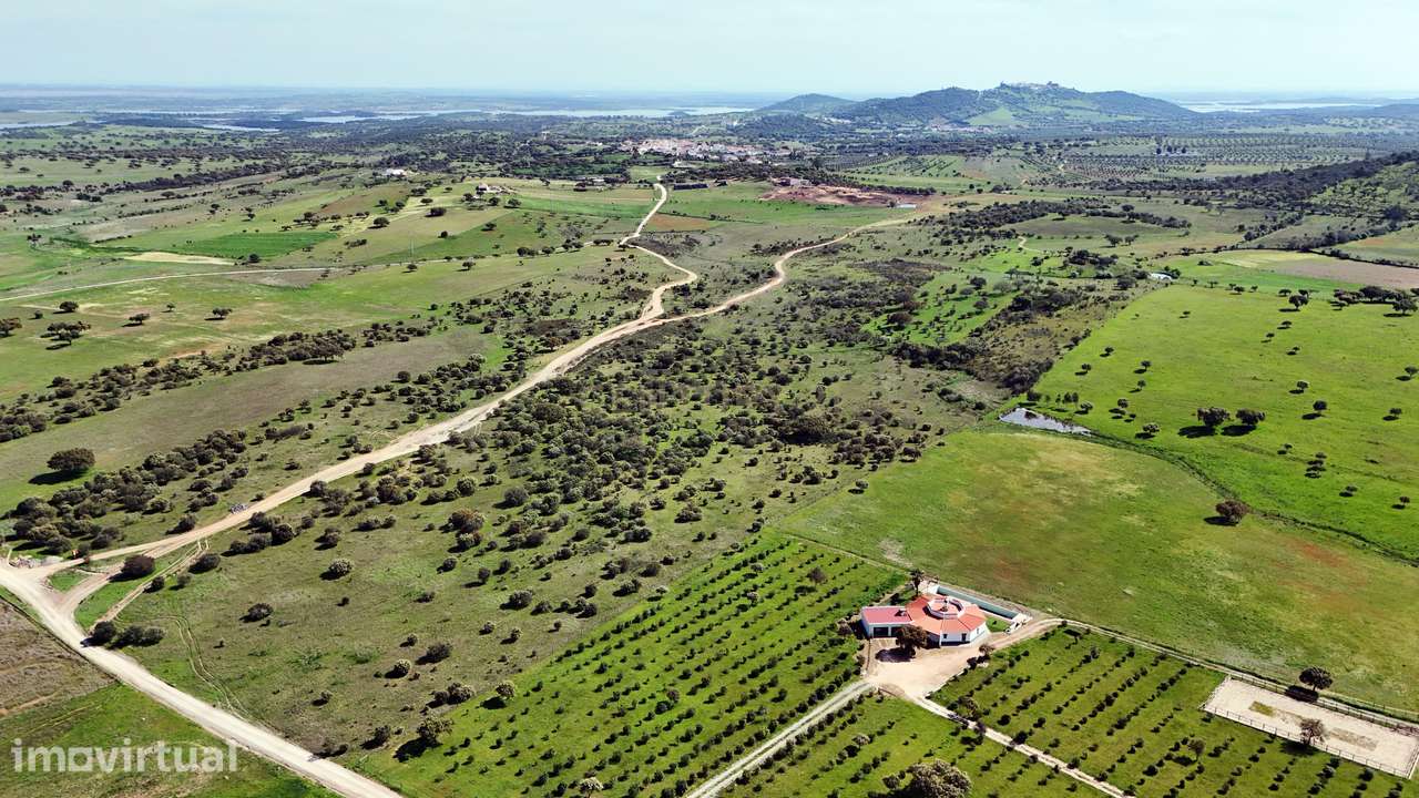 Terreno Misto em Monsaraz, Reguengos de Monsaraz - Grande imagem: 4/15
