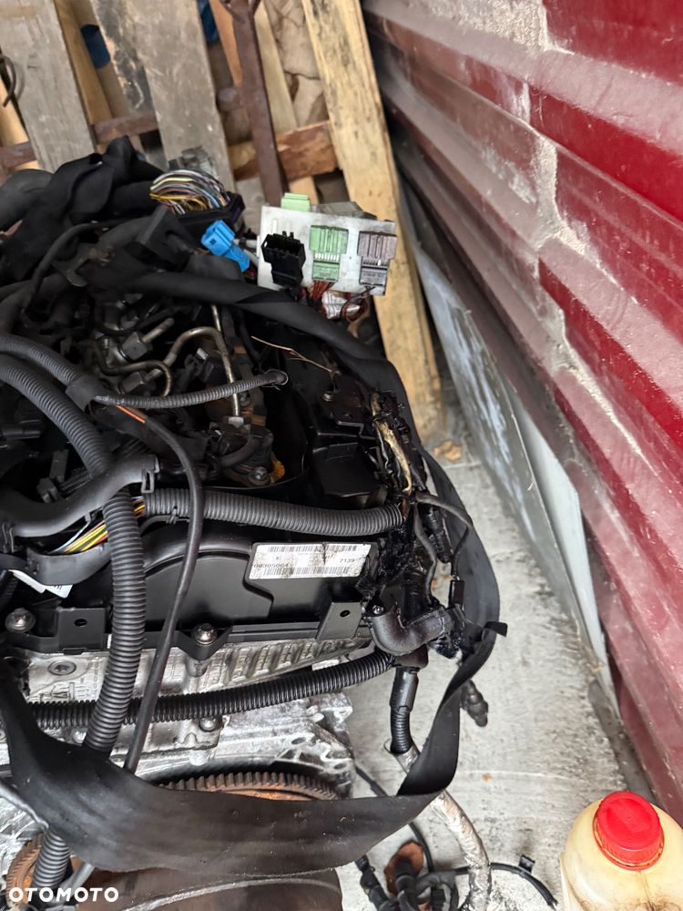 BMW X4 xDrive20d M Sport X sport - 19