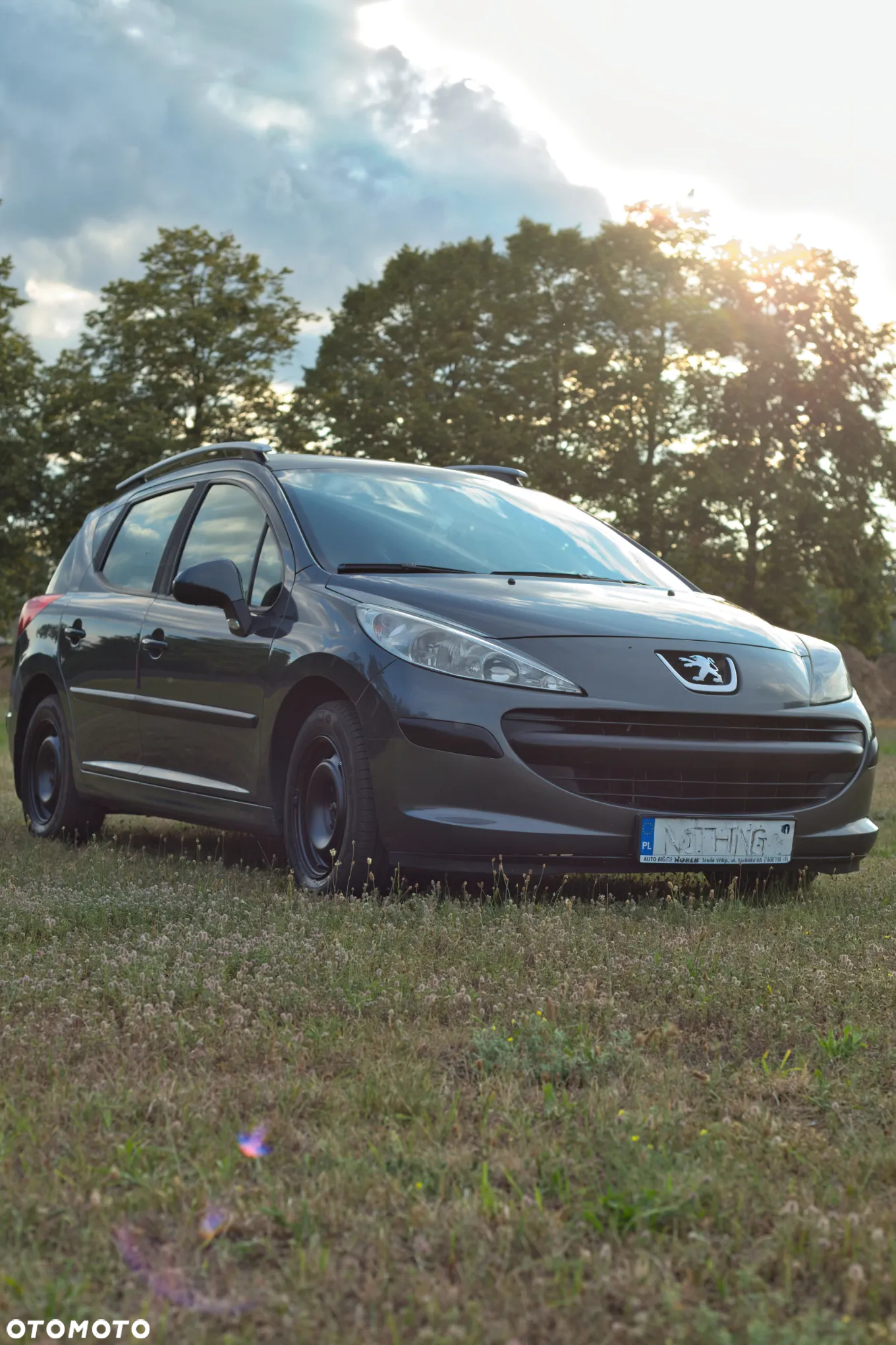 Peugeot 207 - 2