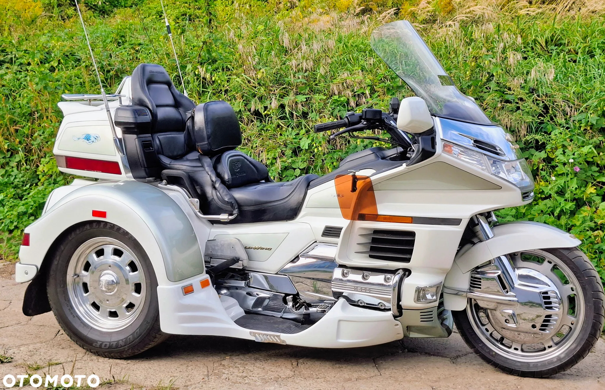 Honda GL - 6