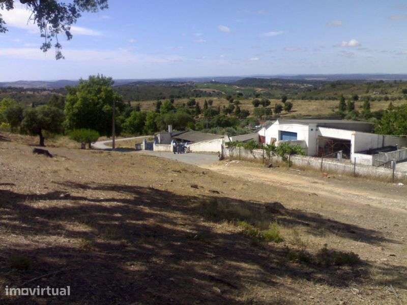 Herdade boa localizacao - Grande imagem: 4/4