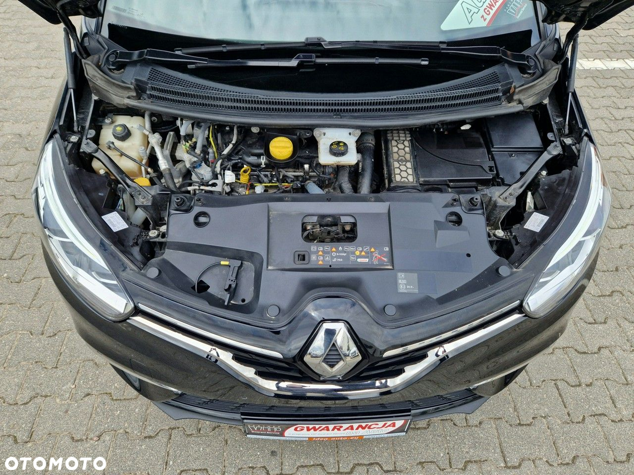 Renault Scenic - 18