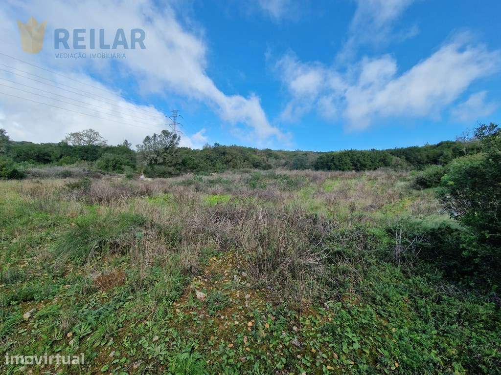 São João dos Montes - Terreno 5.640 m2 - Grande imagem: 5/9