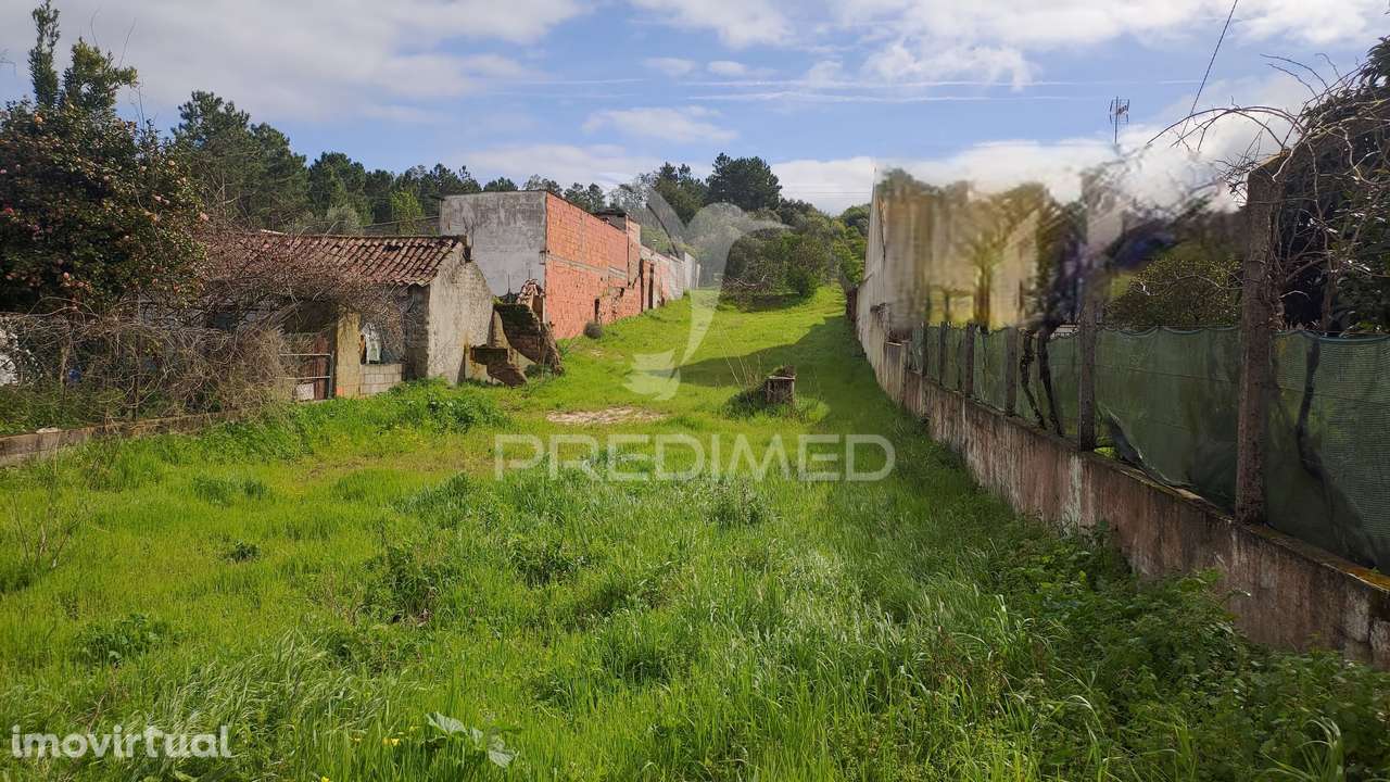 Terreno Urbano - Prédio Misto 4440 m2 - Carregueira - Chamusca - Grande imagem: 2/8